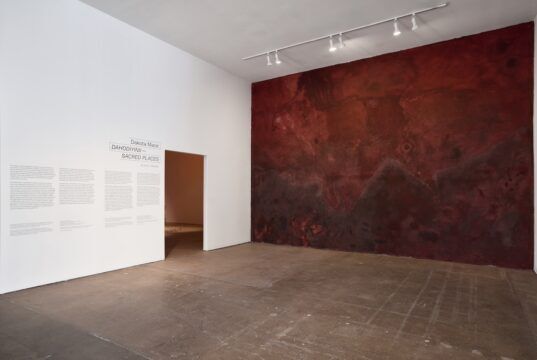 Land as past and future: a Q&A with Diné artist Dakota Mace