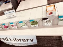 Free seeds for your garden are now available at 8 Madison Public Library locations