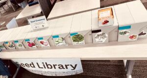Free seeds for your garden are now available at 8 Madison Public Library locations
