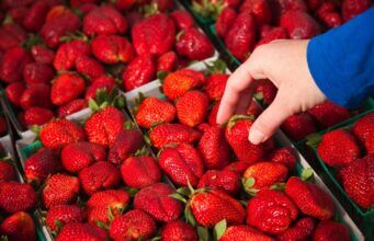 A surprising percentage of produce from the nation’s largest supplier contains ‘forever’ pesticides