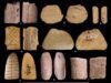 Prehistoric dice suggest that Native Americans may have been gaming since the last ice age