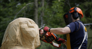 Harry Whitehorse International Wood Sculpture Festival will honor the legacy of Harry Whitehorse June 19-27