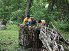 Nature Everywhere brings free outdoor events across Madison this weekend