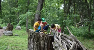 Nature Everywhere brings free outdoor events across Madison this weekend