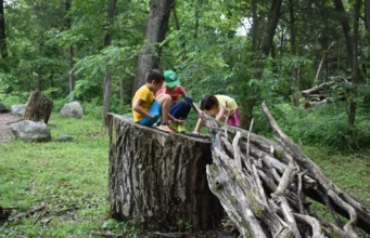 Nature Everywhere brings free outdoor events across Madison this weekend