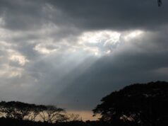 Rev. David Hart: Reflections on rapture