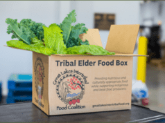 Gov. Evers, DATCP announce $1.5M grants to help tribal elders and their families