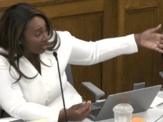 The Independent Oversight of Gossipmongers