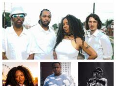 Park Street Music Fest, now in its 9th year, returns to Madison’s South Side Saturday