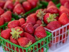Americans could soon pay a lot more for strawberries