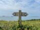 The Selfless Way: Leaders, choose your regrets