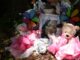 Police investigate death of Tasia Fortune, found hanging from tree, as a homicide