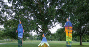 22-mile bike tour will explore Madison’s Indigenous history through Teejop art
