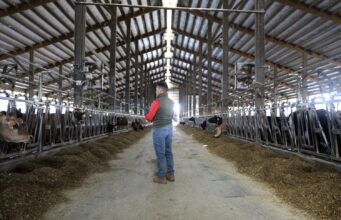 Skilled but uncertain: Immigrant workers and employers navigate hiring hurdles under Trump