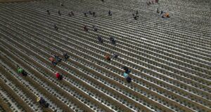 Why Trump’s immigration crackdown isn’t boosting hiring